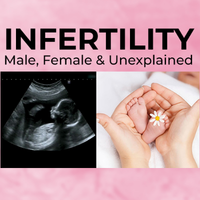 Infertility Ultrasound Course